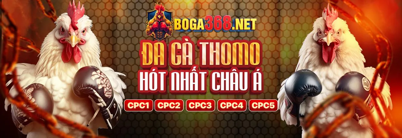 Banner khuyến mãi hoàn trả cược hàng tuần